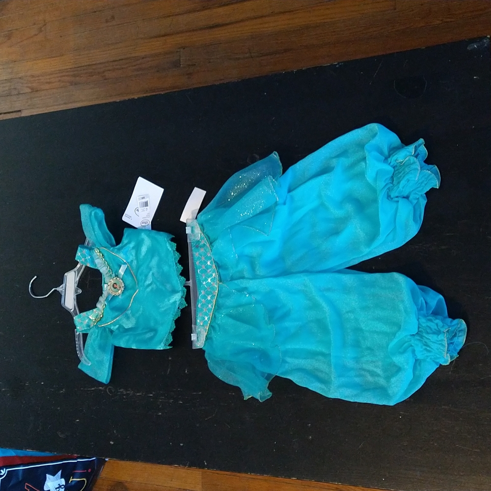 Disney Collection Aladdin's Jasmine Costume
